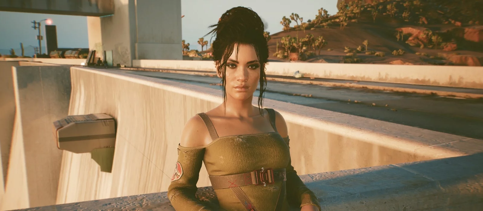 Игрок случайно «убил» Панам, пытаясь сделать красивый кадр в Cyberpunk 2077 Игрок случайно «убил» Панам, пытаясь сделать красивый кадр в Cyberpunk 2077