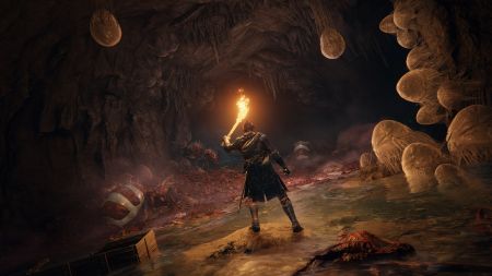 Аренда и прокат ELDEN RING для PS5