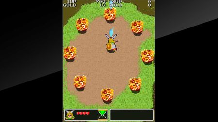 Аренда и прокат Arcade Archives THE LEGEND OF VALKYRIE для PS5