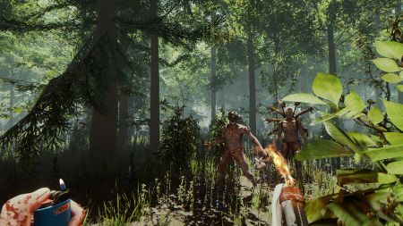 Аренда и прокат The Forest для PS5