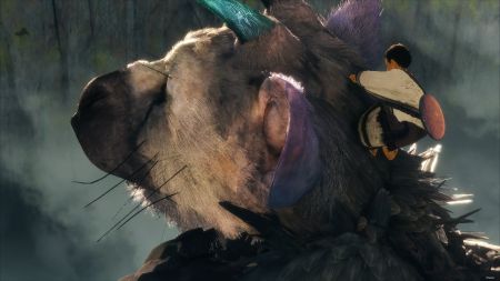 Аренда и прокат The Last Guardian™ Последний хранитель для PS5