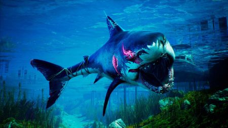 Аренда и прокат Maneater для PS5