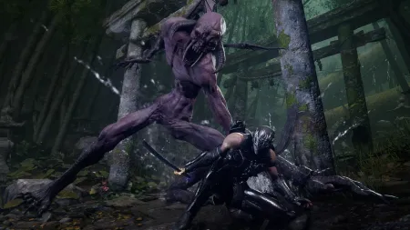 Аренда и прокат NINJA GAIDEN 4 для PS5 Хит Новинка