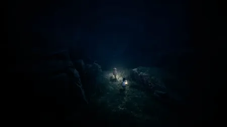 Аренда и прокат REANIMAL для PS5 Хит Новинка