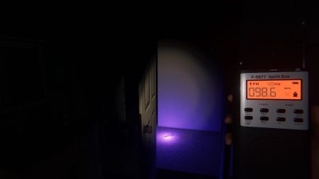 Аренда и прокат Phasmophobia для PS5