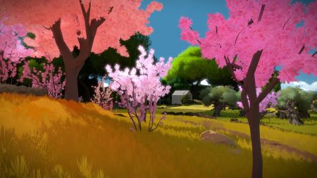 Аренда и прокат The Witness для PS5