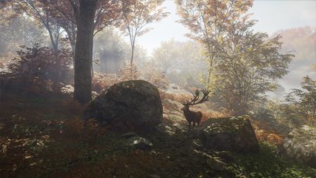 Аренда и прокат theHunter: Call of the Wild™ для PS5