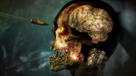 Аренда и прокат Zombie Army 4: Dead War для PS5