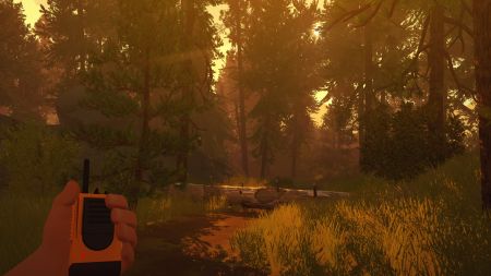 Аренда и прокат Firewatch для PS5