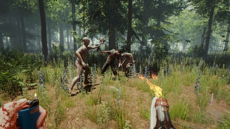 Аренда и прокат The Forest для PS5