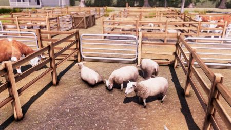 Аренда и прокат RealFarm для PS5