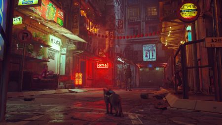 Аренда и прокат Stray для PS5
