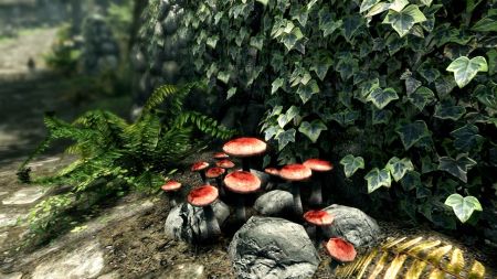 Аренда и прокат The Elder Scrolls V: Skyrim Special Edition для PS5