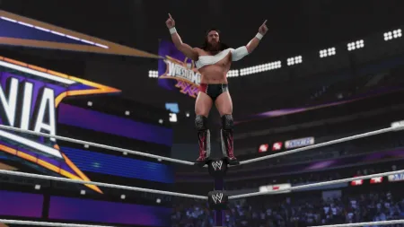 Аренда и прокат WWE 2K19 для PS4 для PS5 Хит