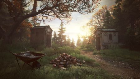 Аренда и прокат The Vanishing of Ethan Carter для PS5