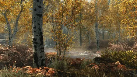 Аренда и прокат The Elder Scrolls V: Skyrim Anniversary Edition для PS5 Хит для PS4