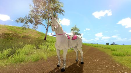 Аренда и прокат The Unicorn Princess для PS5