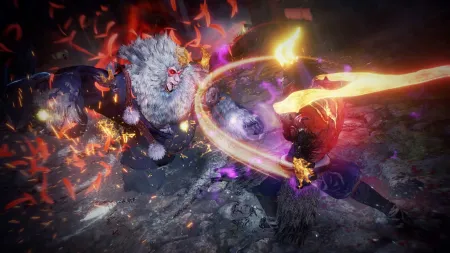 Аренда и прокат Nioh 2 для PS5