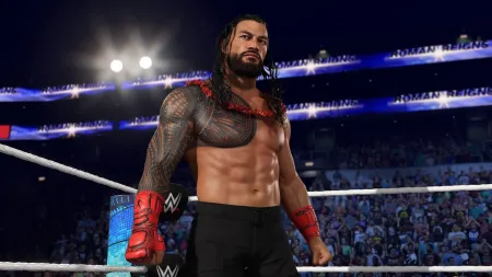 Аренда и прокат WWE 2K25 (ENG) для PS4 для PS5 Хит