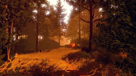 Аренда и прокат Firewatch для PS5