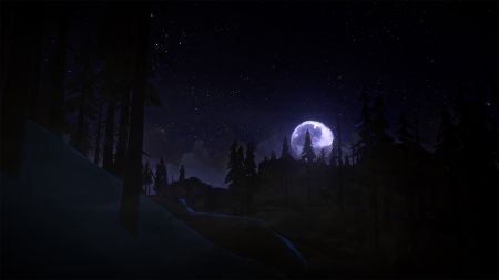 Аренда и прокат The Long Dark для PS5