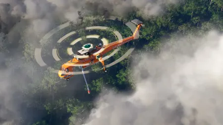Аренда и прокат Microsoft Flight Simulator 2024 для PS5