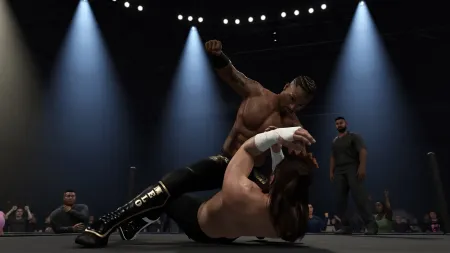Аренда и прокат WWE 2K25 (ENG) для PS4 для PS5 Хит