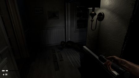 Аренда и прокат Panic House для PS5