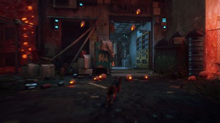 Аренда и прокат Stray для PS5