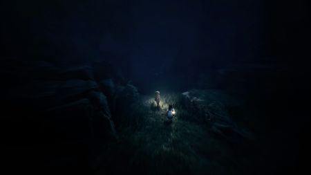 Аренда и прокат REANIMAL для PS5