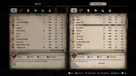 Аренда и прокат Medieval Dynasty для PS5