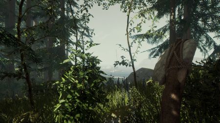 Аренда и прокат The Forest для PS5